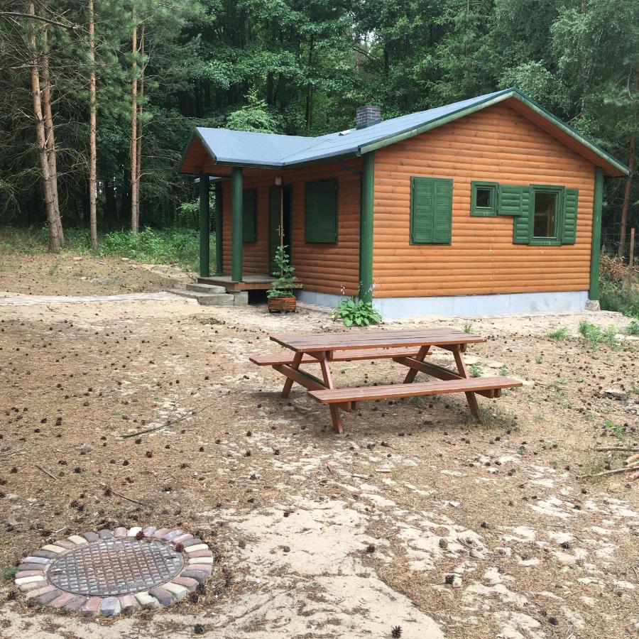 Agroturystyka Oaza Ciszy I Spokoju Miedzychod Exterior foto
