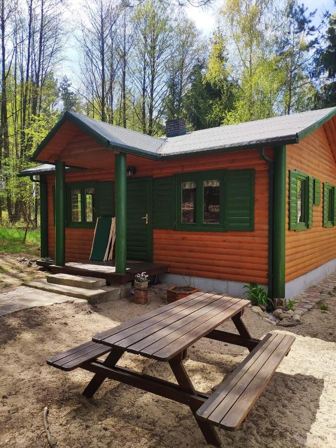 Agroturystyka Oaza Ciszy I Spokoju Miedzychod Exterior foto