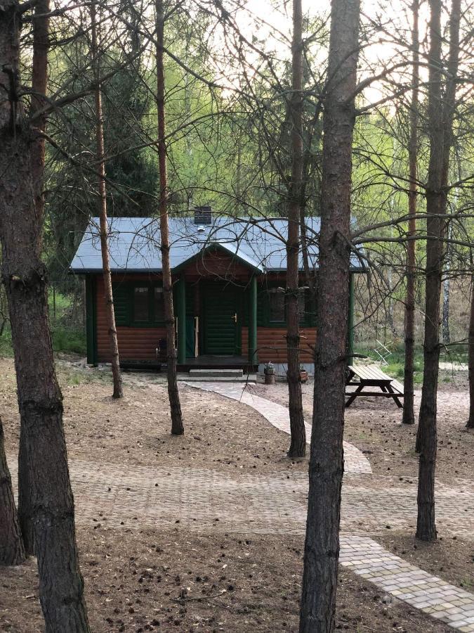 Agroturystyka Oaza Ciszy I Spokoju Miedzychod Exterior foto