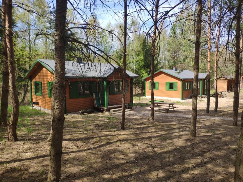 Agroturystyka Oaza Ciszy I Spokoju Miedzychod Exterior foto